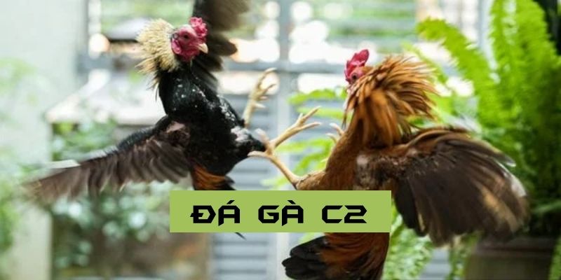 da-ga-c2