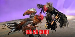 da-ga-choi