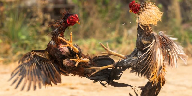 ne-tranh-sai-lam-de-khong-tro-thanh-nguoi-that-bai
