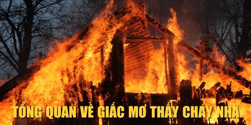 tong-quan-ve-giac-mo-thay-chay-nha